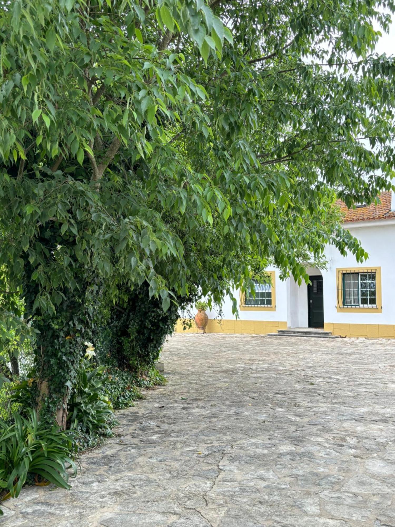 Casa Da Nogueira Tomar Exterior foto